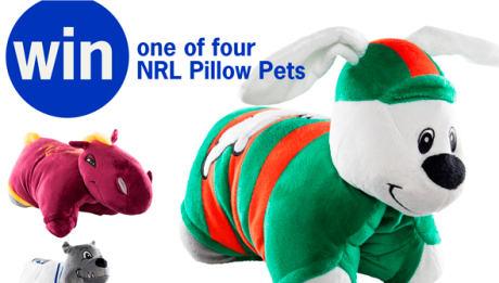 nrl pillow pets