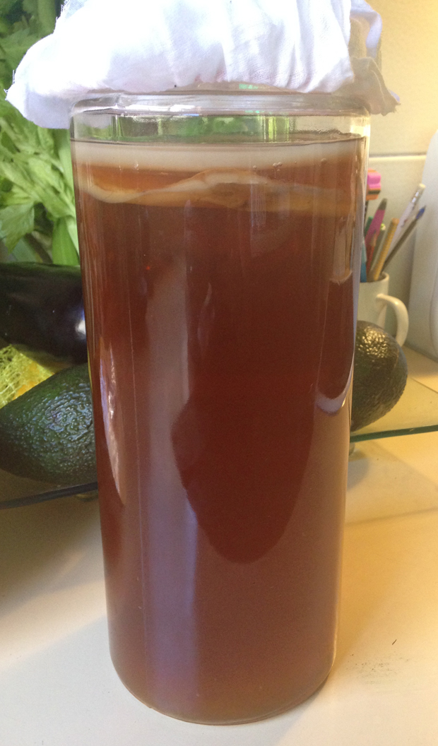 Kombucha brewing