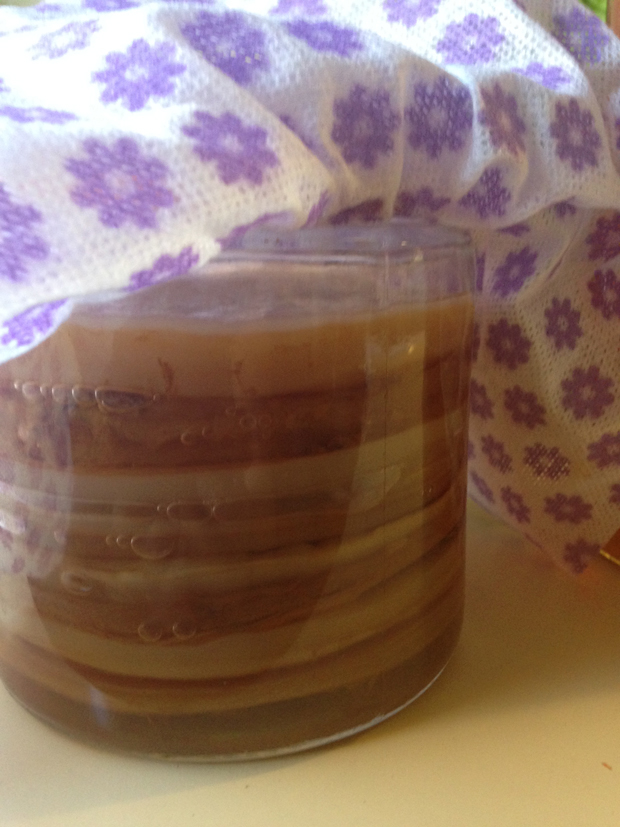 Scoby Hotel